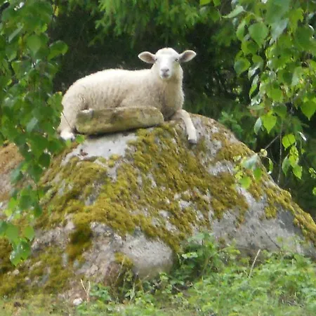 Landsted Antsu-jaani Tourism Farm