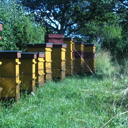 Antsu-jaani Tourism Farm Suuremoisa (Saaremaa)