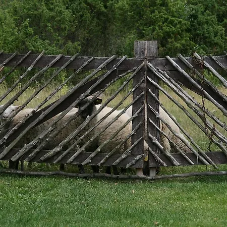 Antsu-jaani Tourism Farm