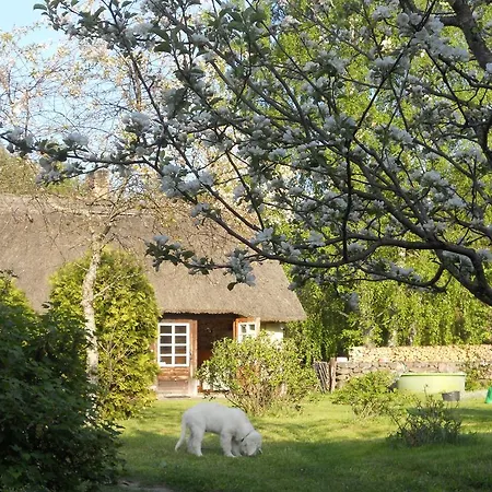 Antsu-jaani Tourism Farm *